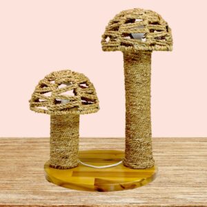 Chân đèn lục bình Mush